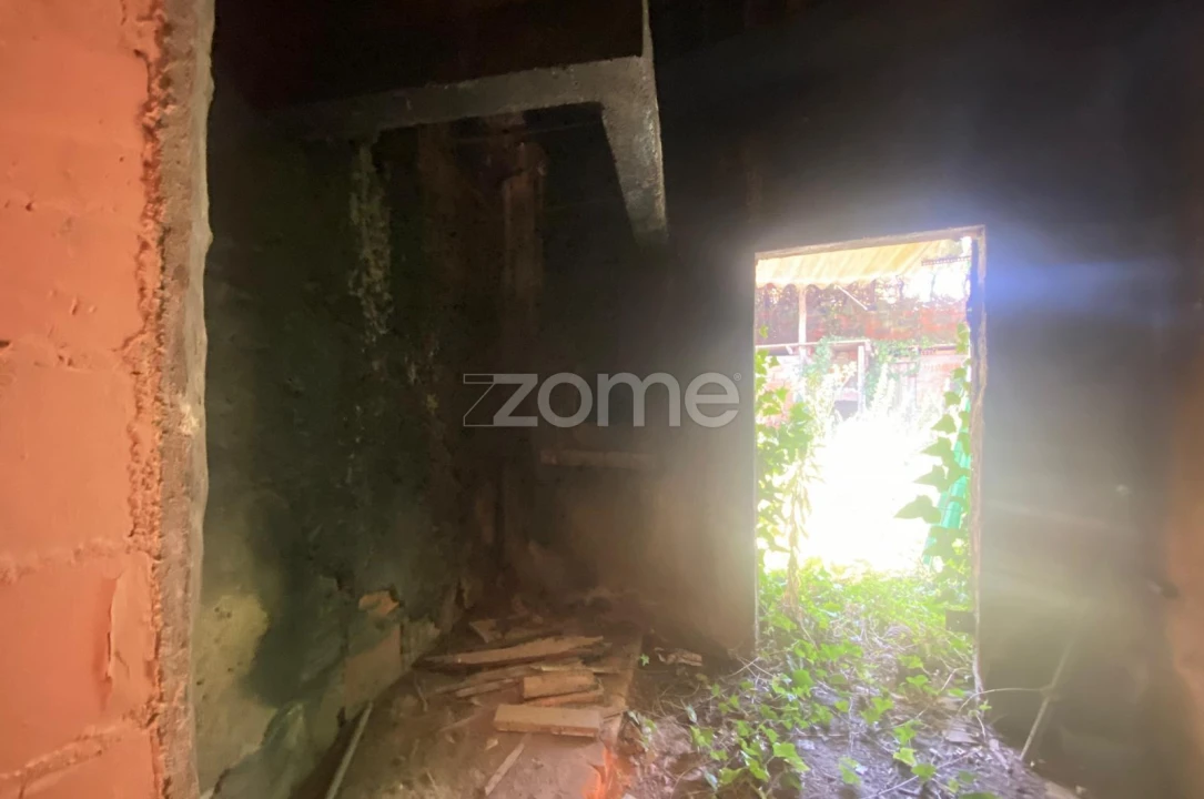 Terreno para Venda em Sepins e Bolho Foto 26