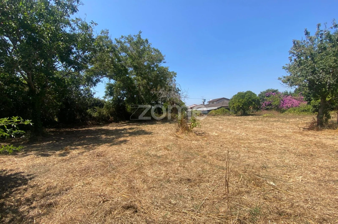 Terreno para Venda em Sepins e Bolho Foto 46