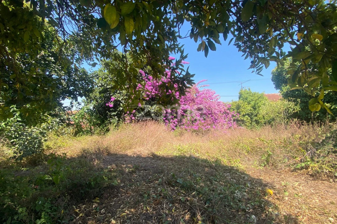 Terreno para Venda em Sepins e Bolho Foto 52