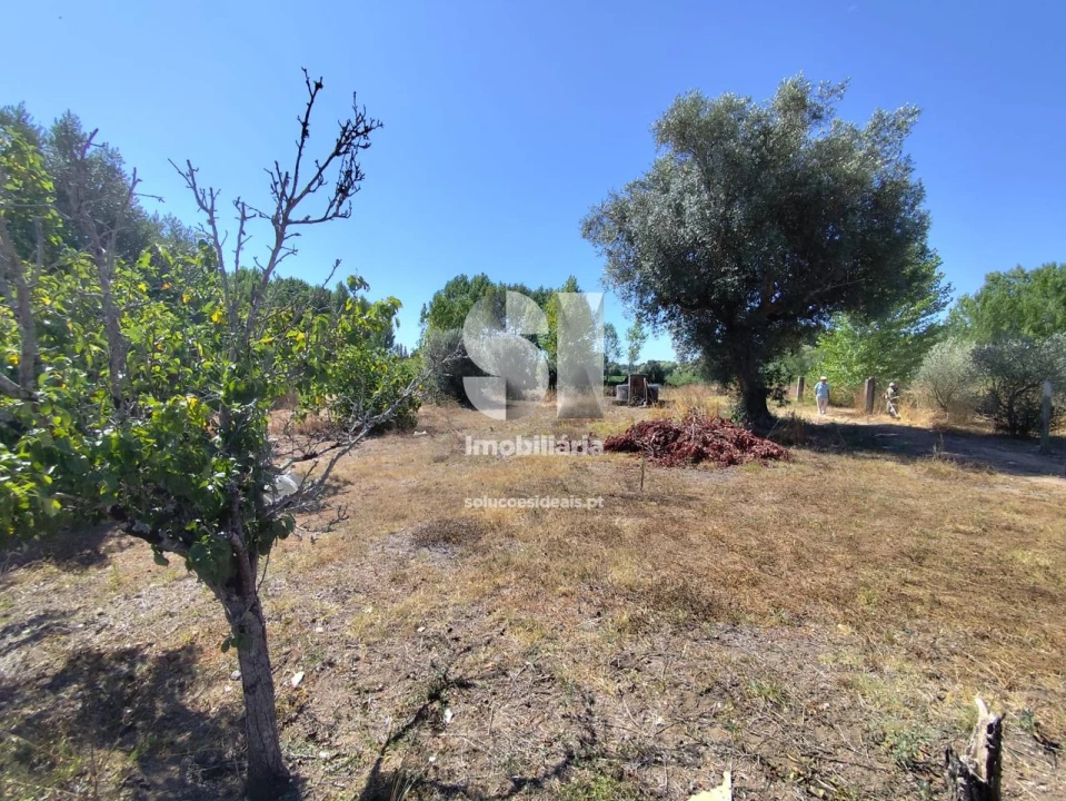 Moradia T3 para Venda em Mealhada, Ventosa do Bairro e Antes Foto 19