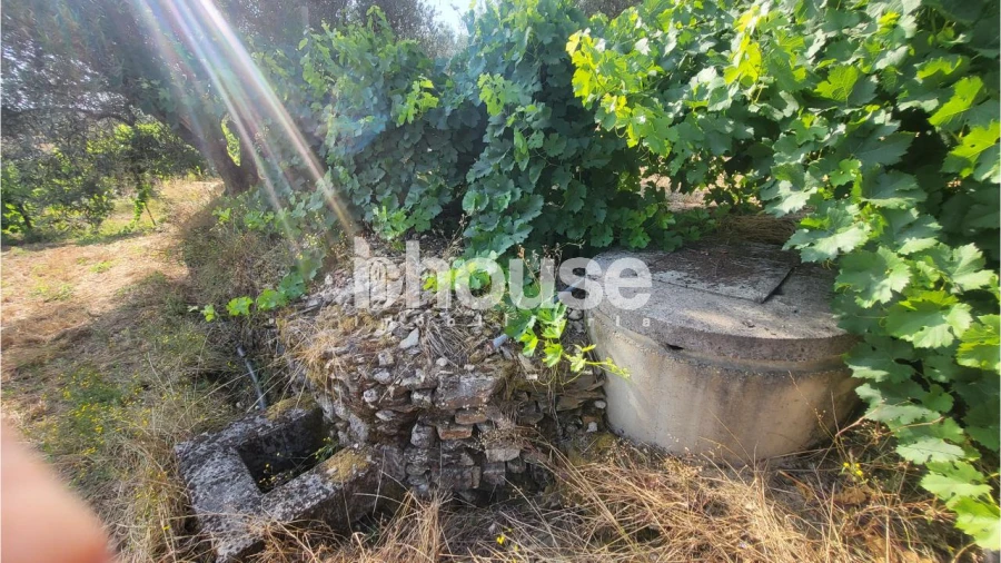 Terreno para Venda em Agua Reves e Crasto Foto 12