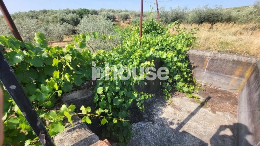 Terreno para Venda em Agua Reves e Crasto Foto 13