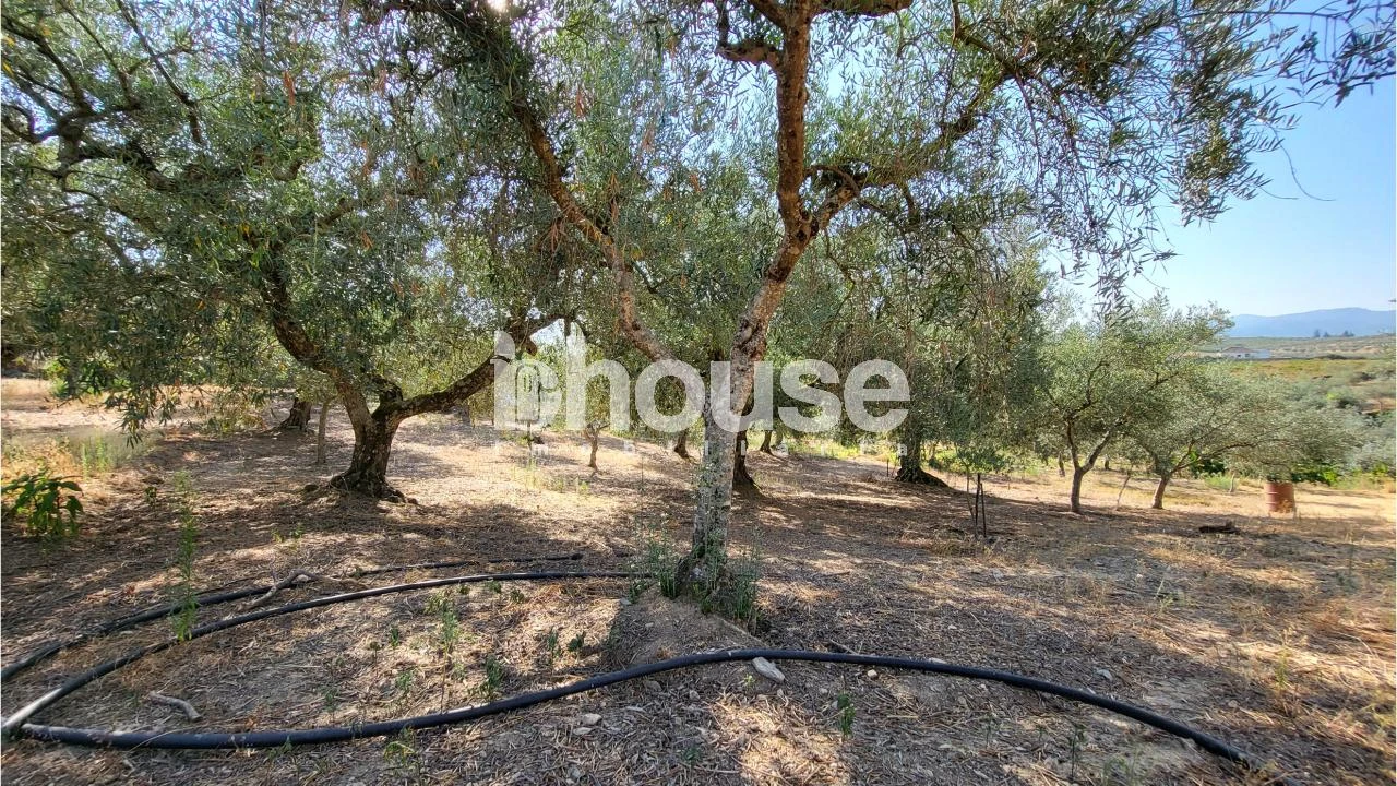 Terreno para Venda em Agua Reves e Crasto Foto 2