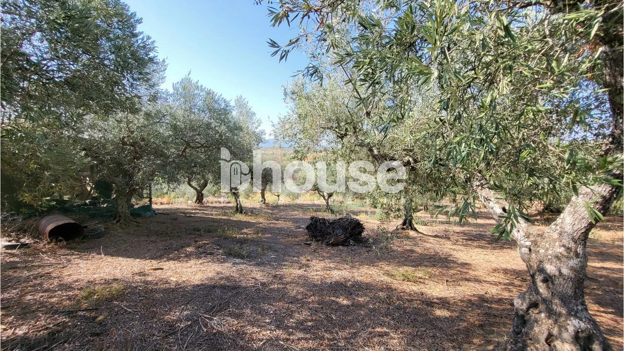 Terreno para Venda em Agua Reves e Crasto Foto 3