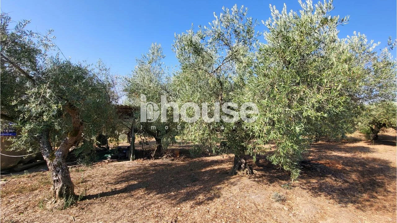 Terreno para Venda em Agua Reves e Crasto Foto 1