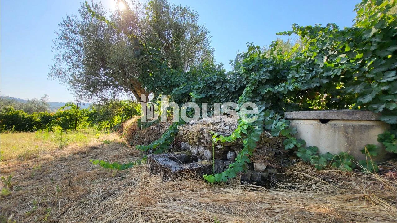 Terreno para Venda em Agua Reves e Crasto Foto 7