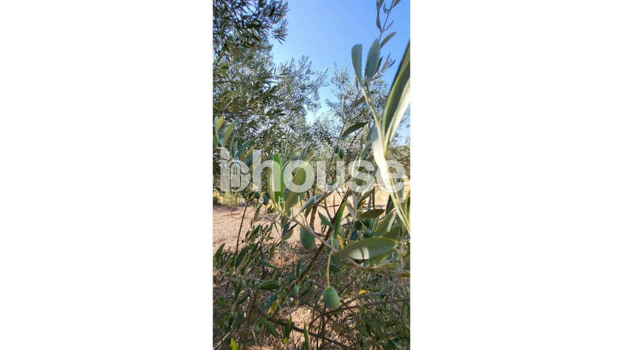 Terreno para Venda em Agua Reves e Crasto Foto 8