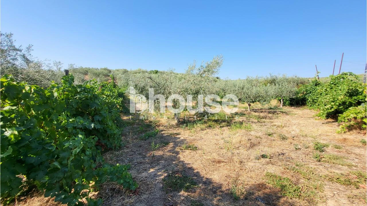 Terreno para Venda em Agua Reves e Crasto Foto 9