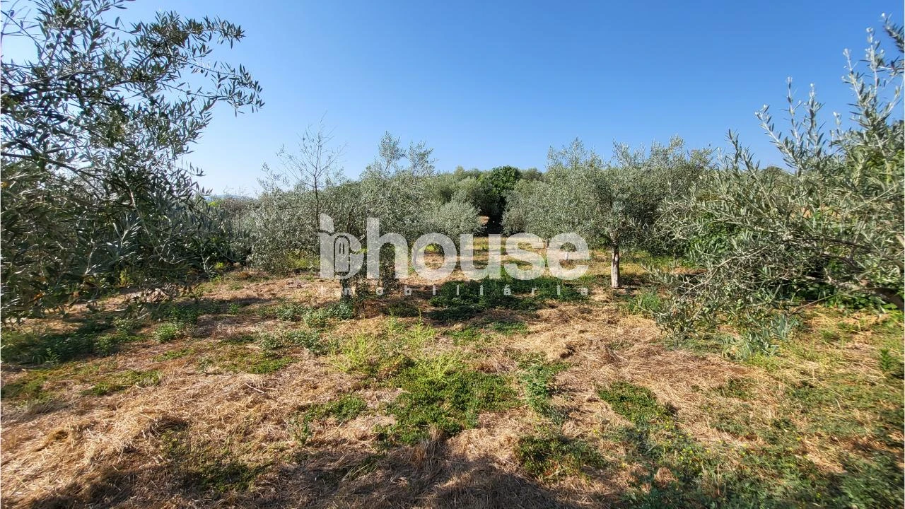 Terreno para Venda em Agua Reves e Crasto Foto 14