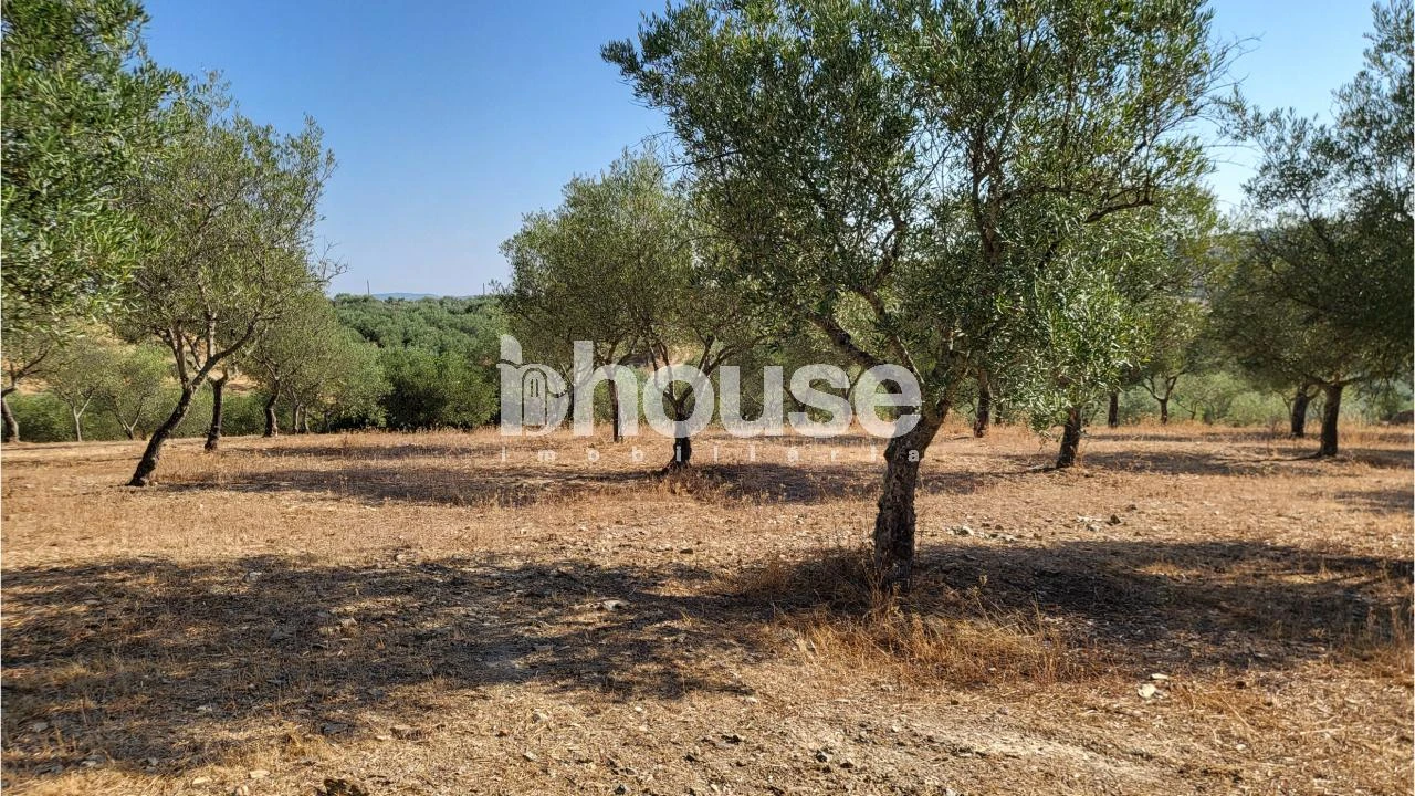 Terreno para Venda em Agua Reves e Crasto Foto 17