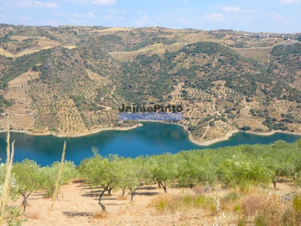 Terreno Agricola ou Rústico para Venda em Alfandega da Fe Foto 2