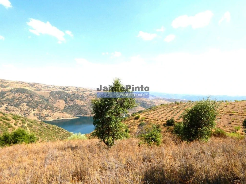 Terreno Agricola ou Rústico para Venda em Alfandega da Fe Foto 3