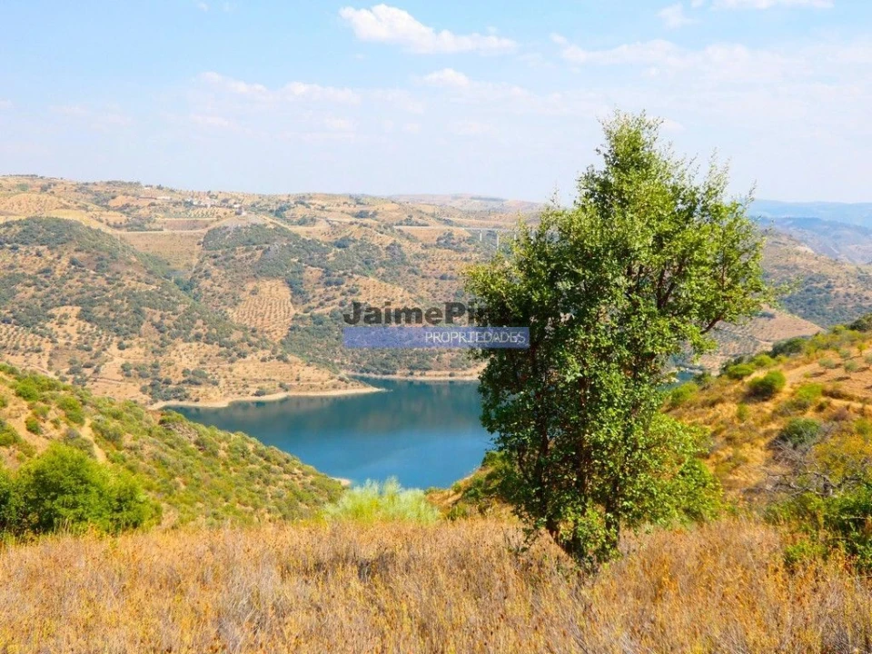 Terreno Agricola ou Rústico para Venda em Alfandega da Fe Foto 7
