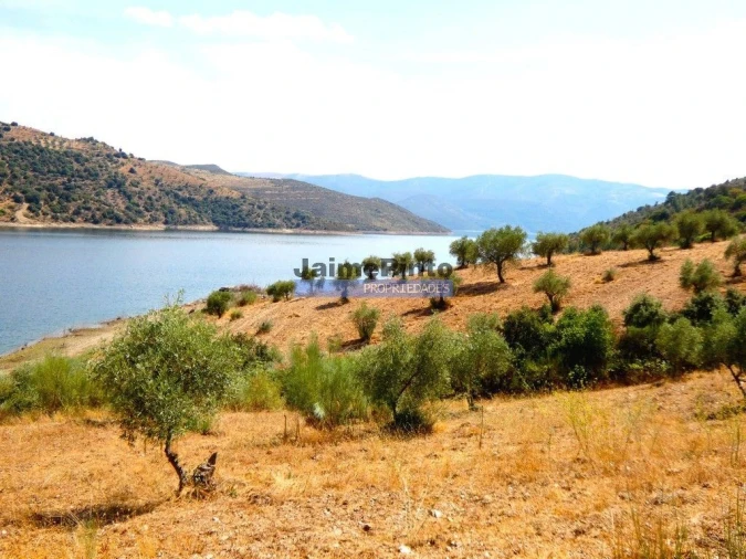 Terreno Agricola ou Rústico para Venda em Alfandega da Fe Foto 8