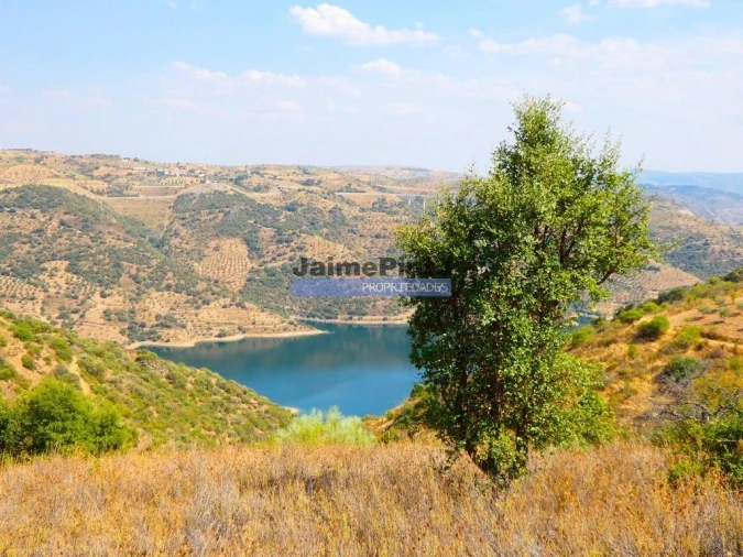 Terreno Agricola ou Rústico para Venda em Alfandega da Fe Foto 7