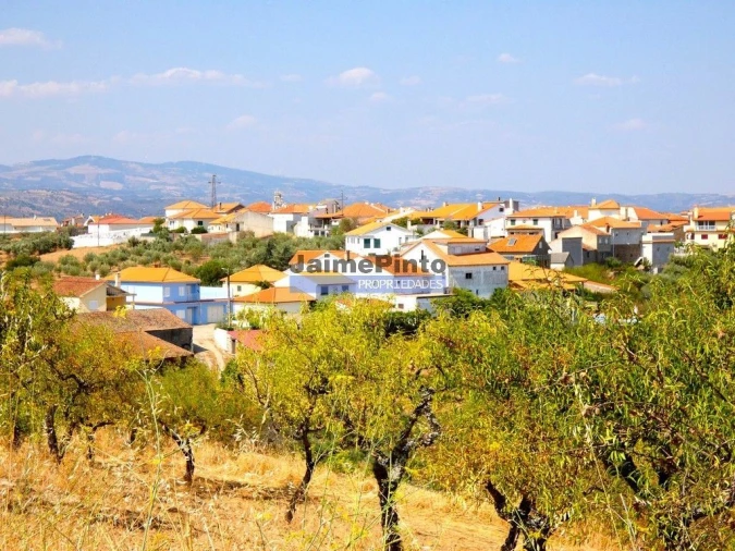 Terreno Agricola ou Rústico para Venda em Alfandega da Fe Foto 9