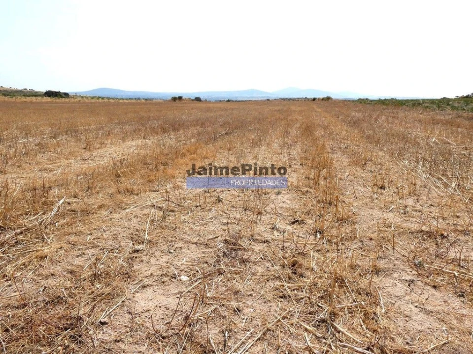 Terreno Agricola ou Rústico para Venda em Escalhão Foto 6