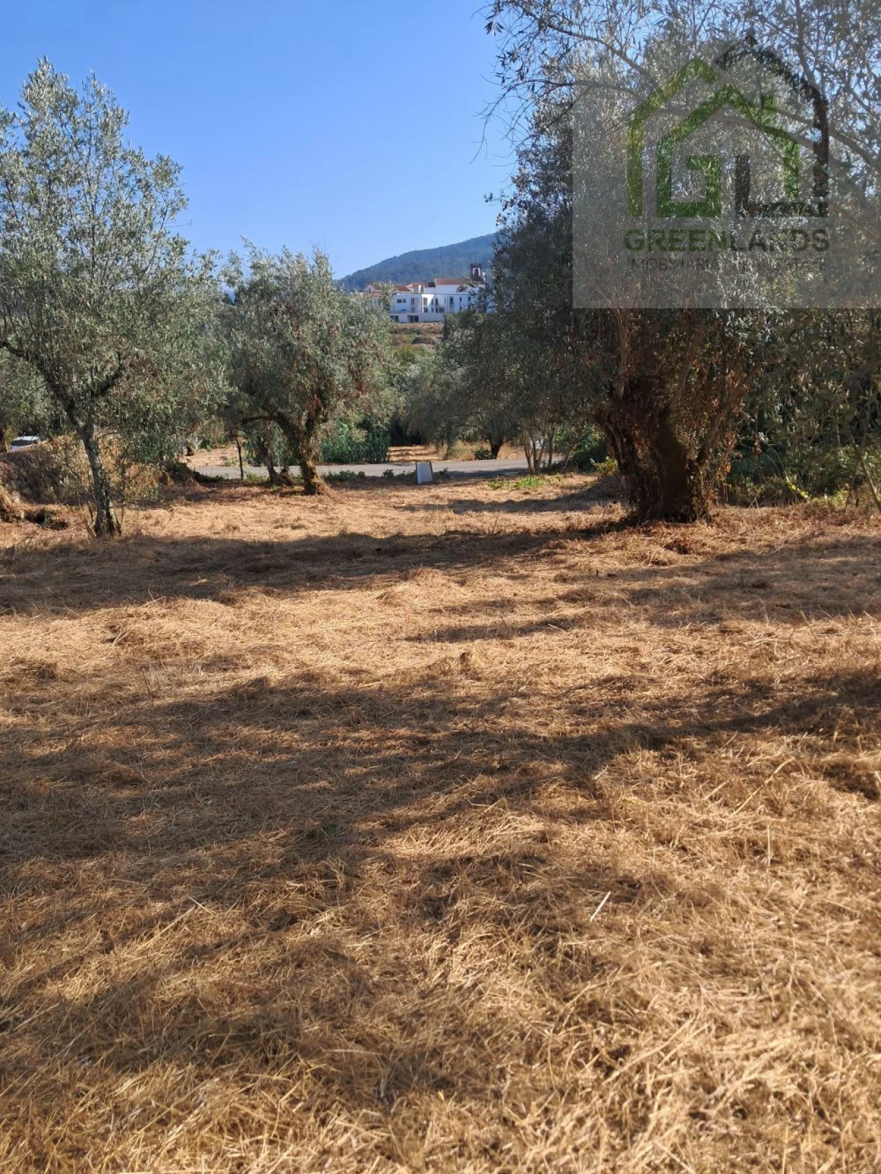 Terreno para Venda em Vila Nova do Ceira Foto 8