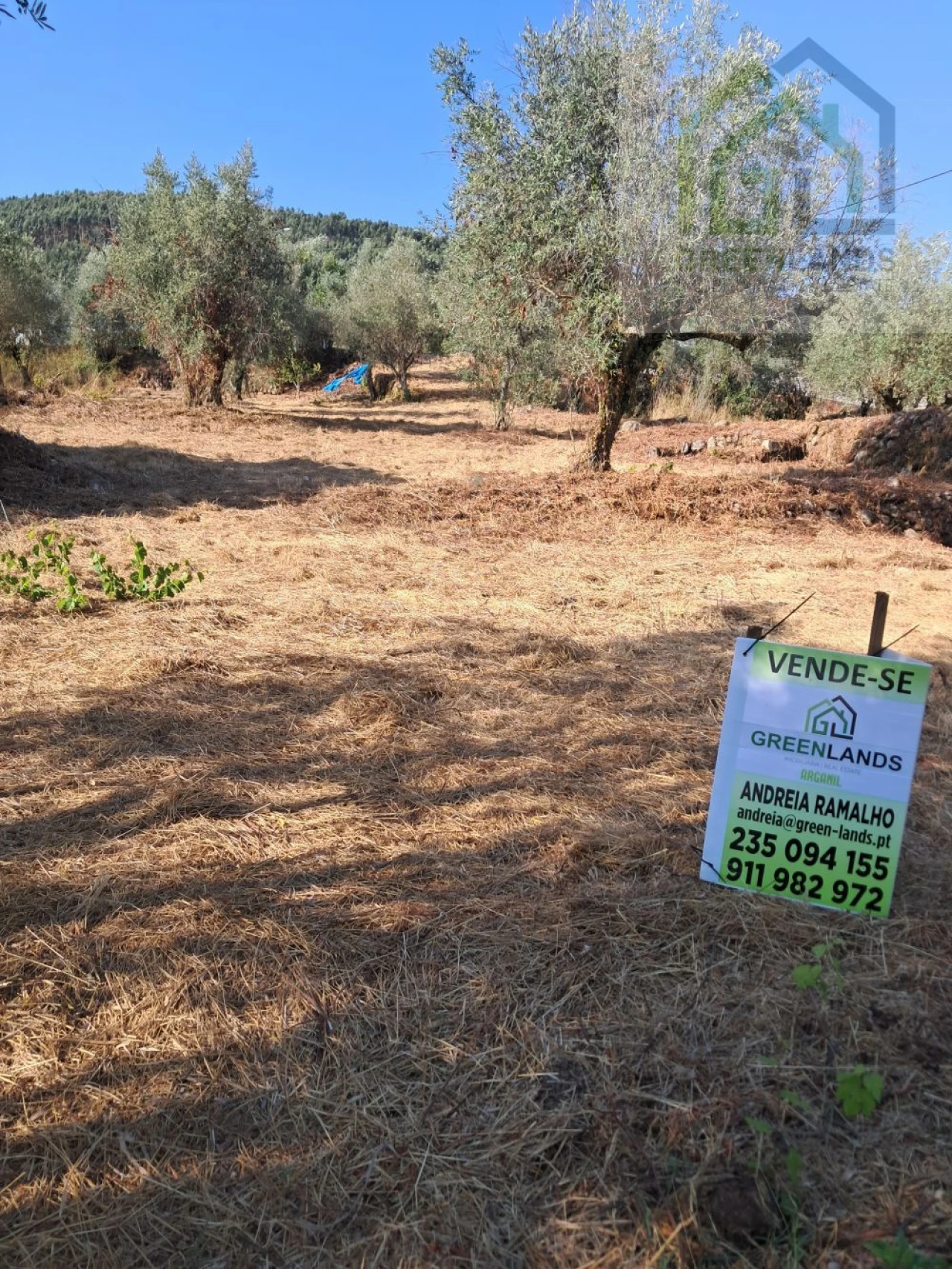 Terreno para Venda em Vila Nova do Ceira Foto 1