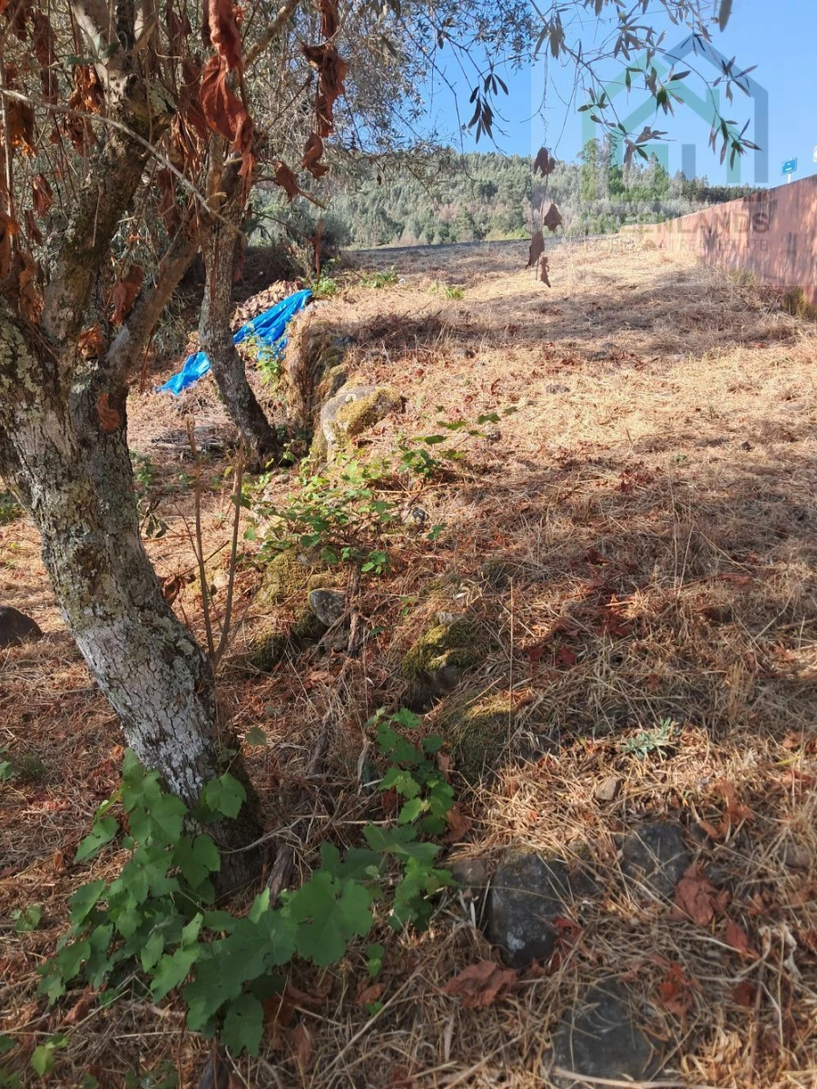 Terreno para Venda em Vila Nova do Ceira Foto 7