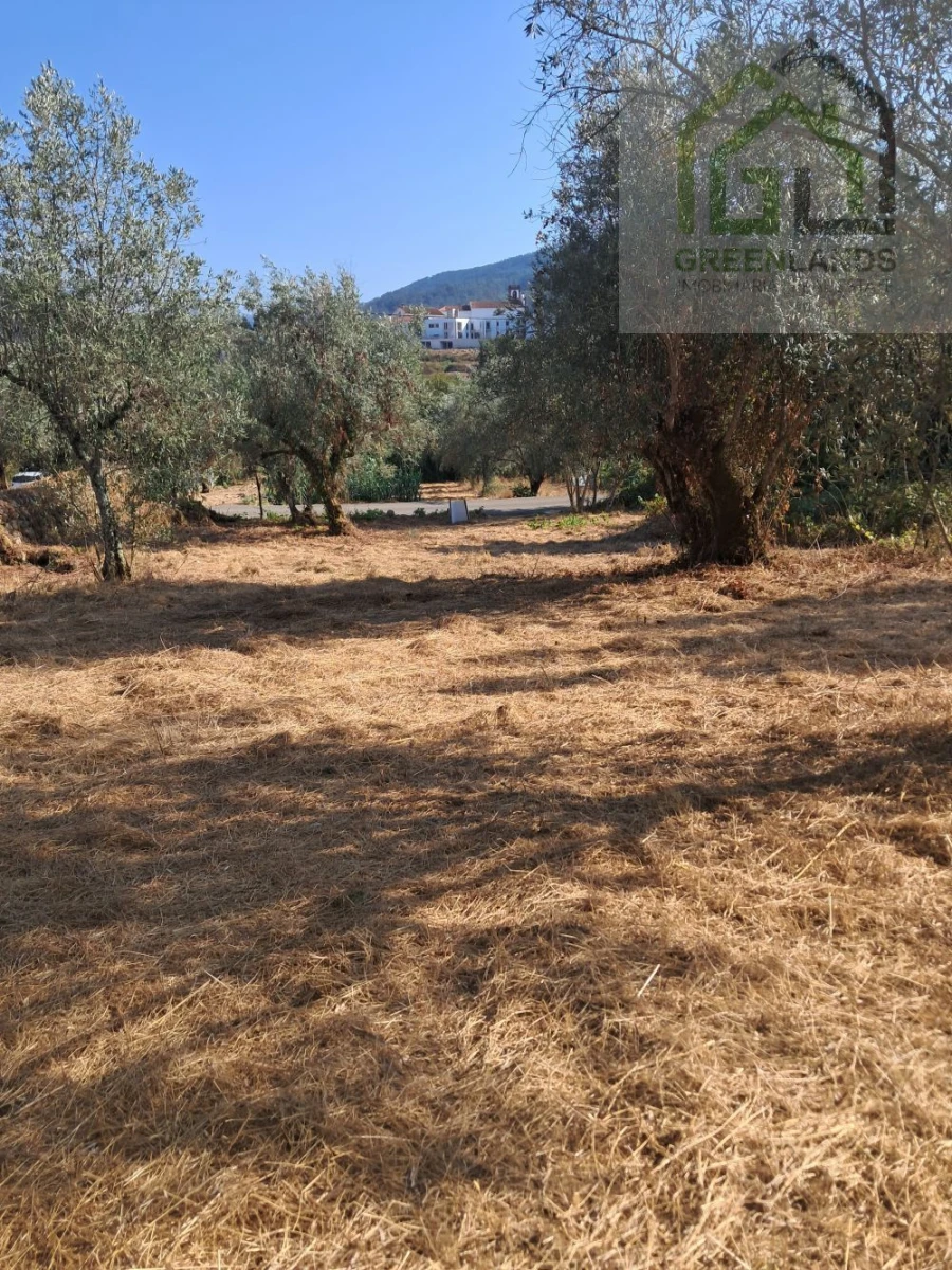 Terreno para Venda em Vila Nova do Ceira Foto 9