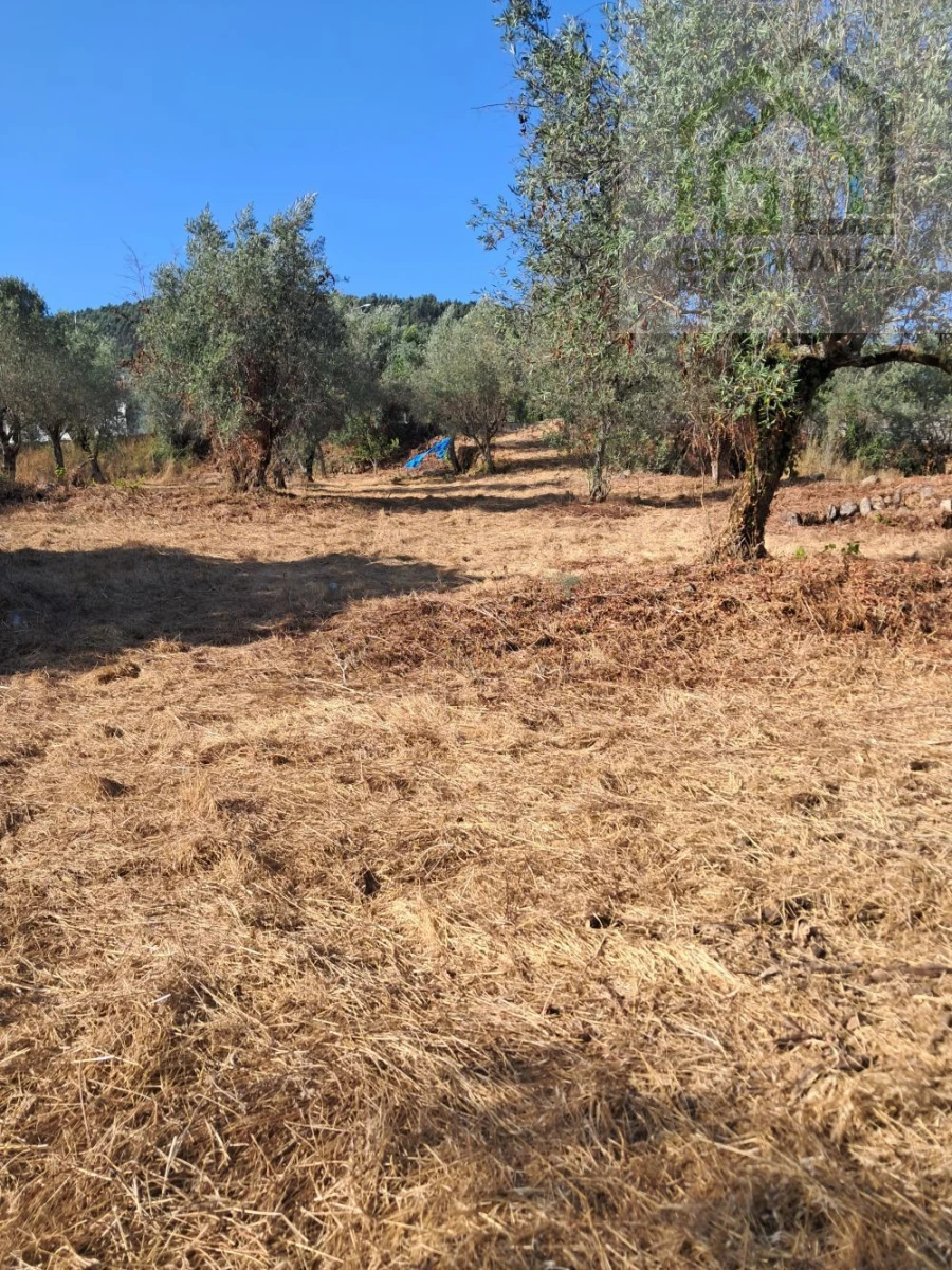 Terreno para Venda em Vila Nova do Ceira Foto 5