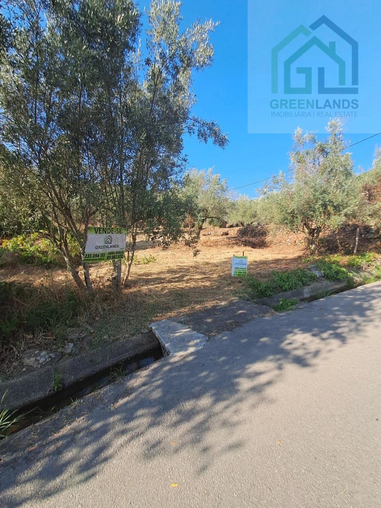 Terreno para Venda em Vila Nova do Ceira Foto 12