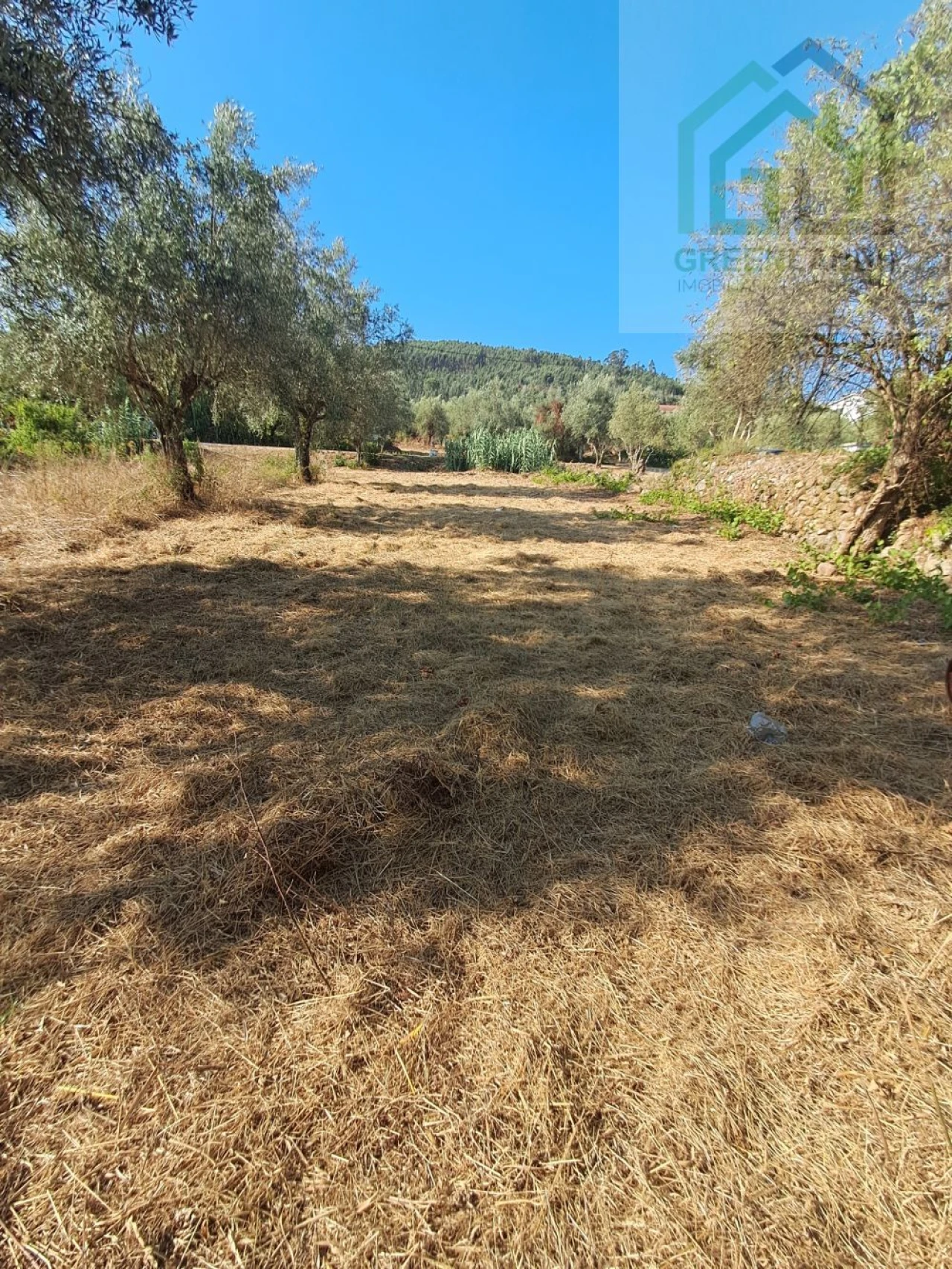 Terreno para Venda em Vila Nova do Ceira Foto 11