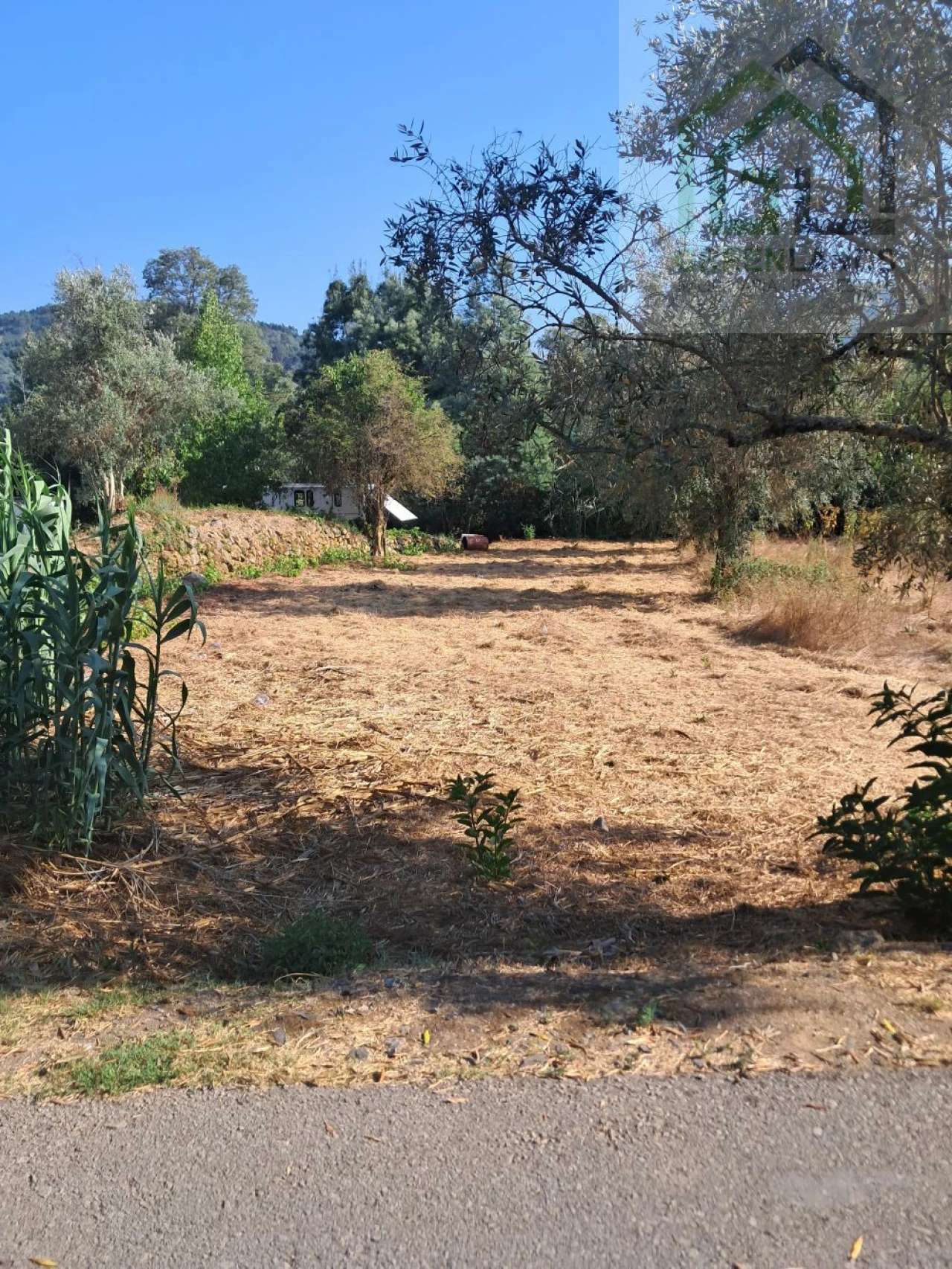 Terreno para Venda em Vila Nova do Ceira Foto 9