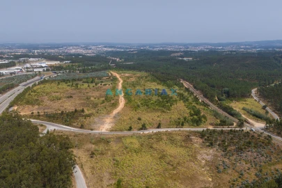 Terreno para Venda em Marrazes e Barosa