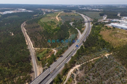 Terreno para Venda em Marrazes e Barosa