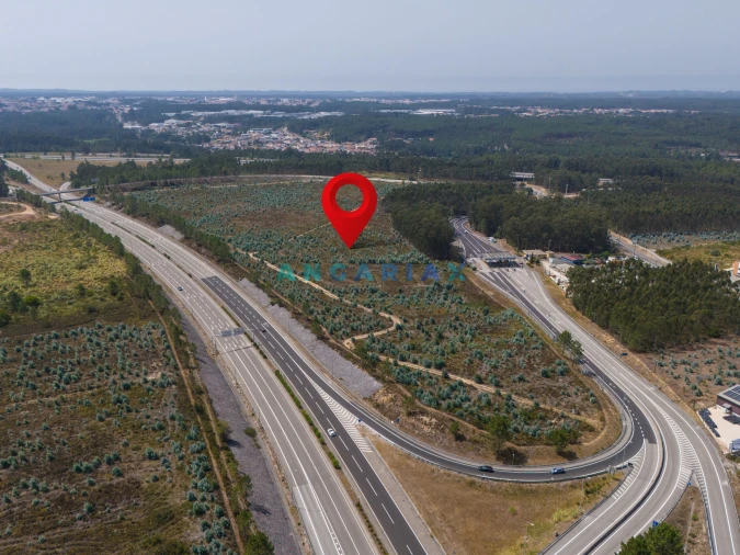 Terreno para Venda em Marinha Grande Foto 18