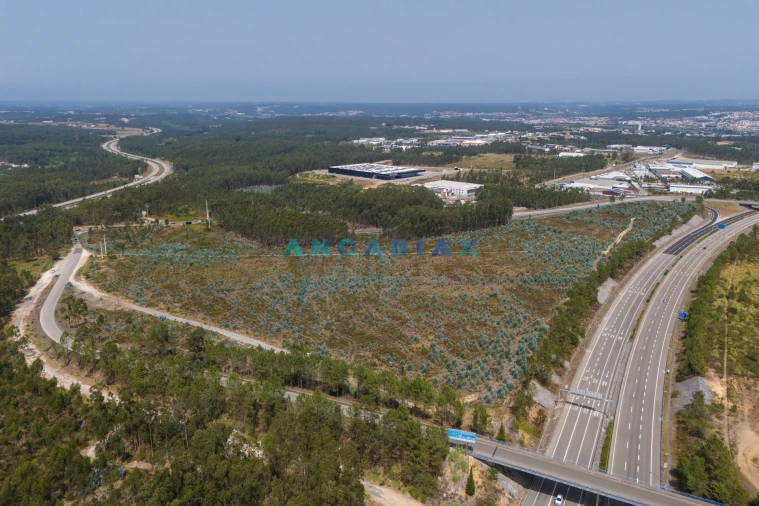 Terreno para Venda em Marinha Grande Foto 7