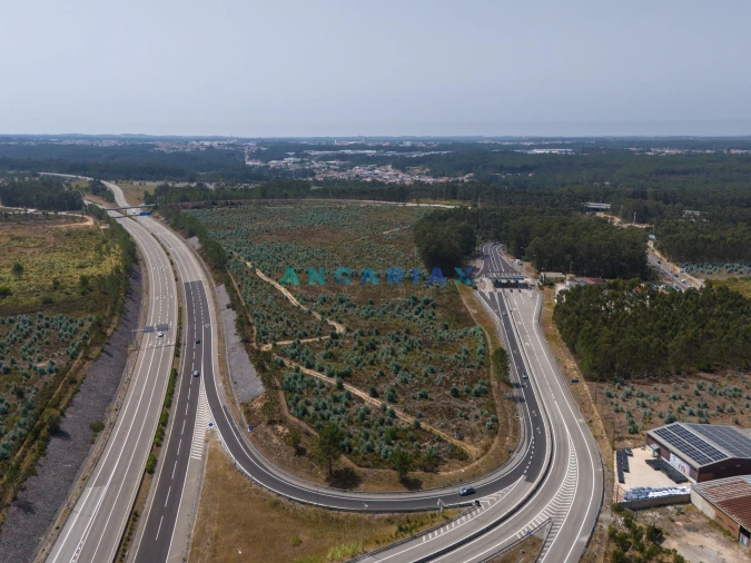 Terreno para Venda em Marinha Grande Foto 19