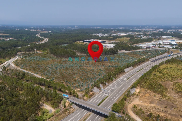 Terreno para Venda em Marinha Grande Foto 3