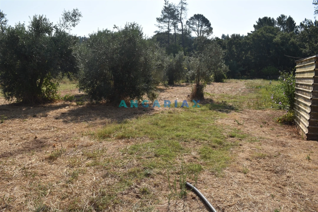 Terreno Agricola ou Rústico para Venda em Aguda Foto 9