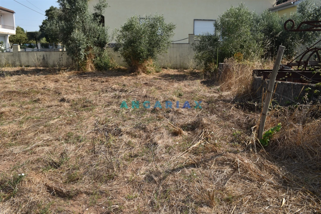 Terreno Agricola ou Rústico para Venda em Aguda Foto 4