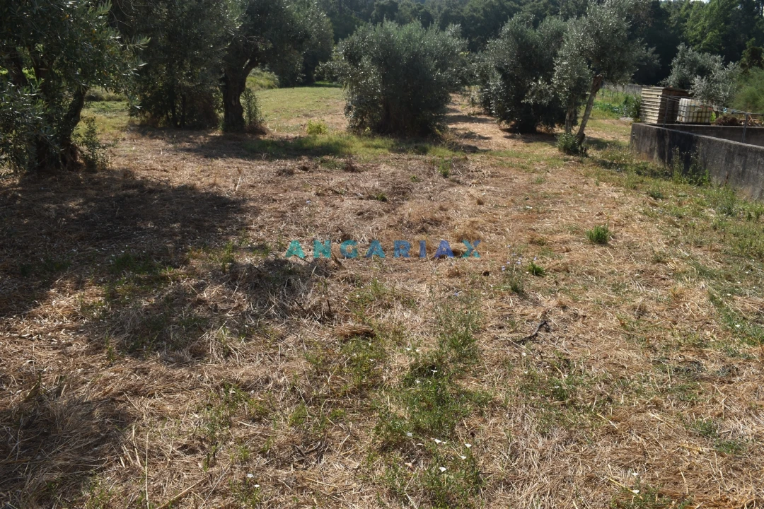 Terreno Agricola ou Rústico para Venda em Aguda Foto 6