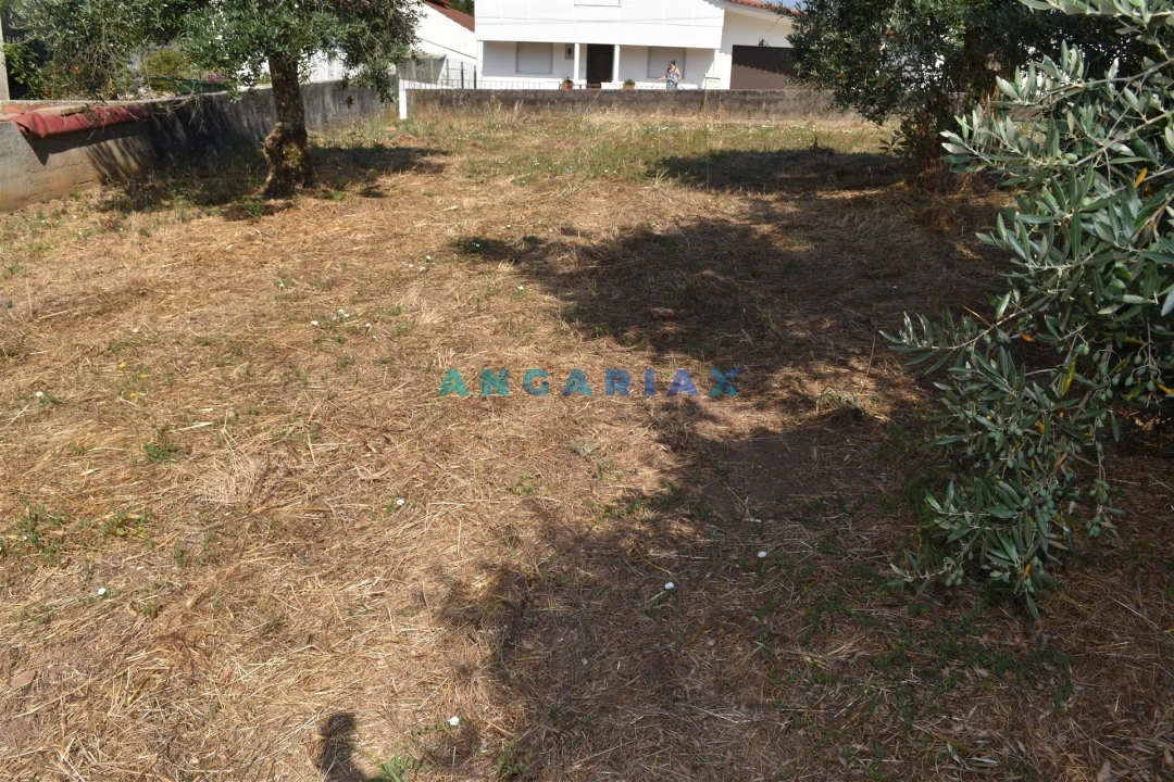 Terreno Agricola ou Rústico para Venda em Aguda Foto 5