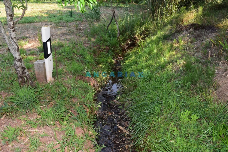 Terreno Agricola ou Rústico para Venda em Aguda Foto 13