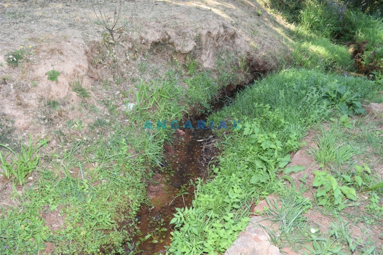 Terreno Agricola ou Rústico para Venda em Aguda Foto 14