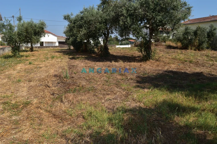 Terreno Agricola ou Rústico para Venda em Aguda Foto 15