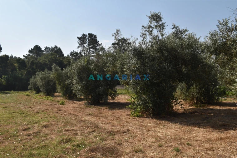 Terreno Agricola ou Rústico para Venda em Aguda Foto 11