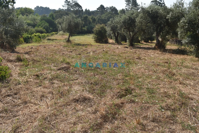 Terreno Agricola ou Rústico para Venda em Aguda Foto 2