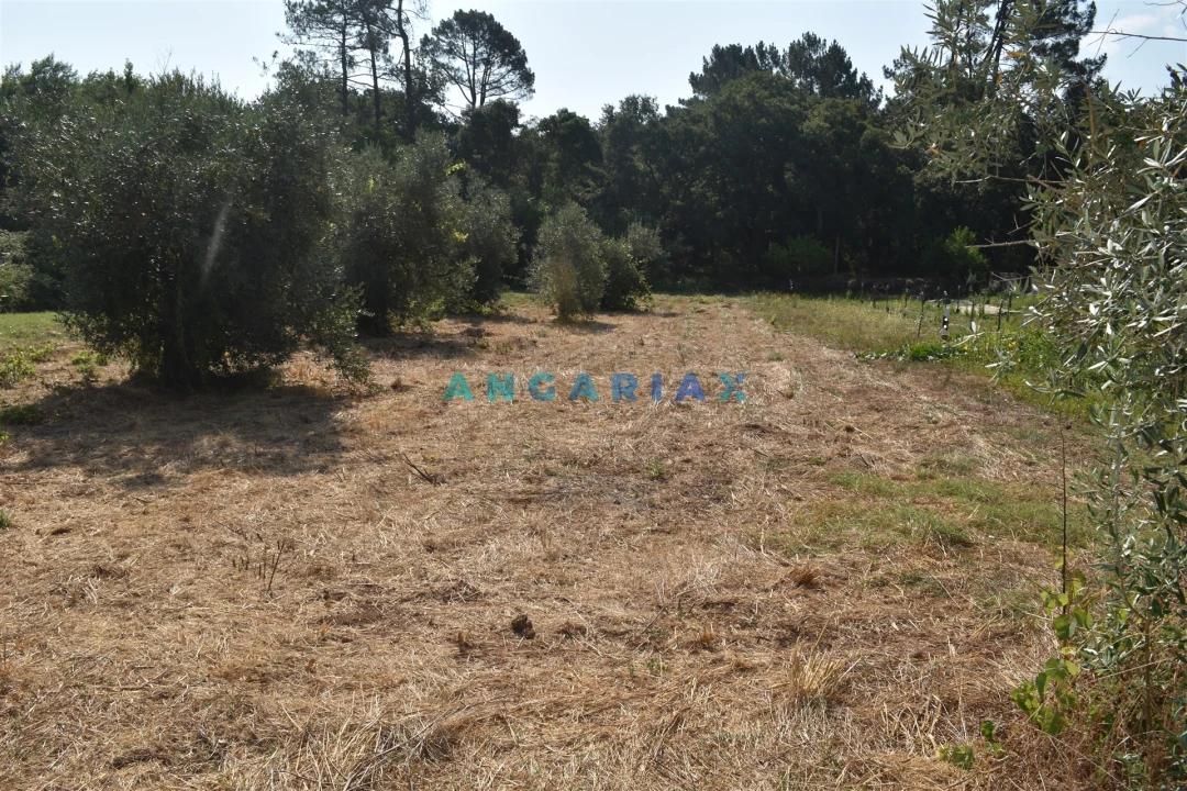Terreno Agricola ou Rústico para Venda em Aguda Foto 12
