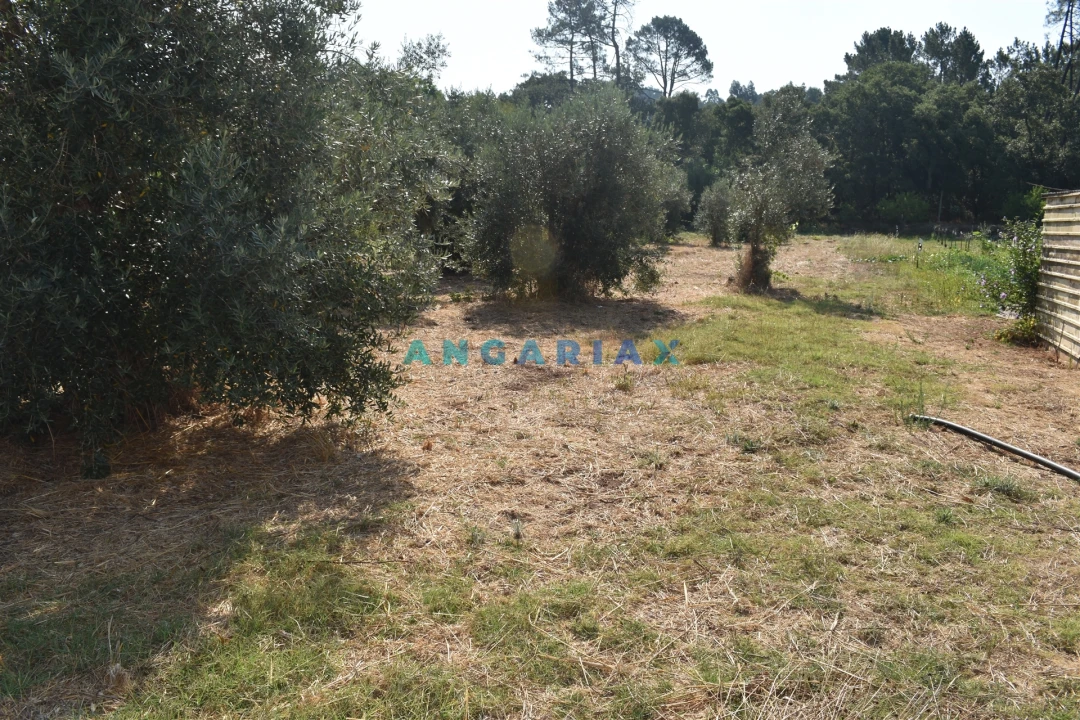 Terreno Agricola ou Rústico para Venda em Aguda Foto 8