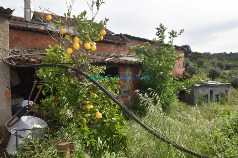 Moradia T5 para Venda em Aguda Foto 3