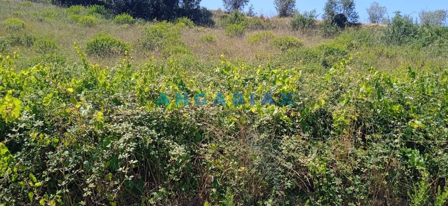 Terreno para Venda em Batalha Foto 1