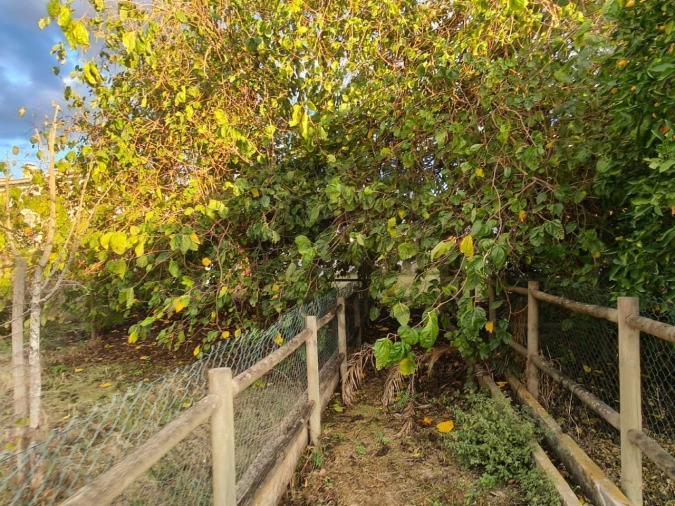 Moradia para Venda em Almeirim Foto 32