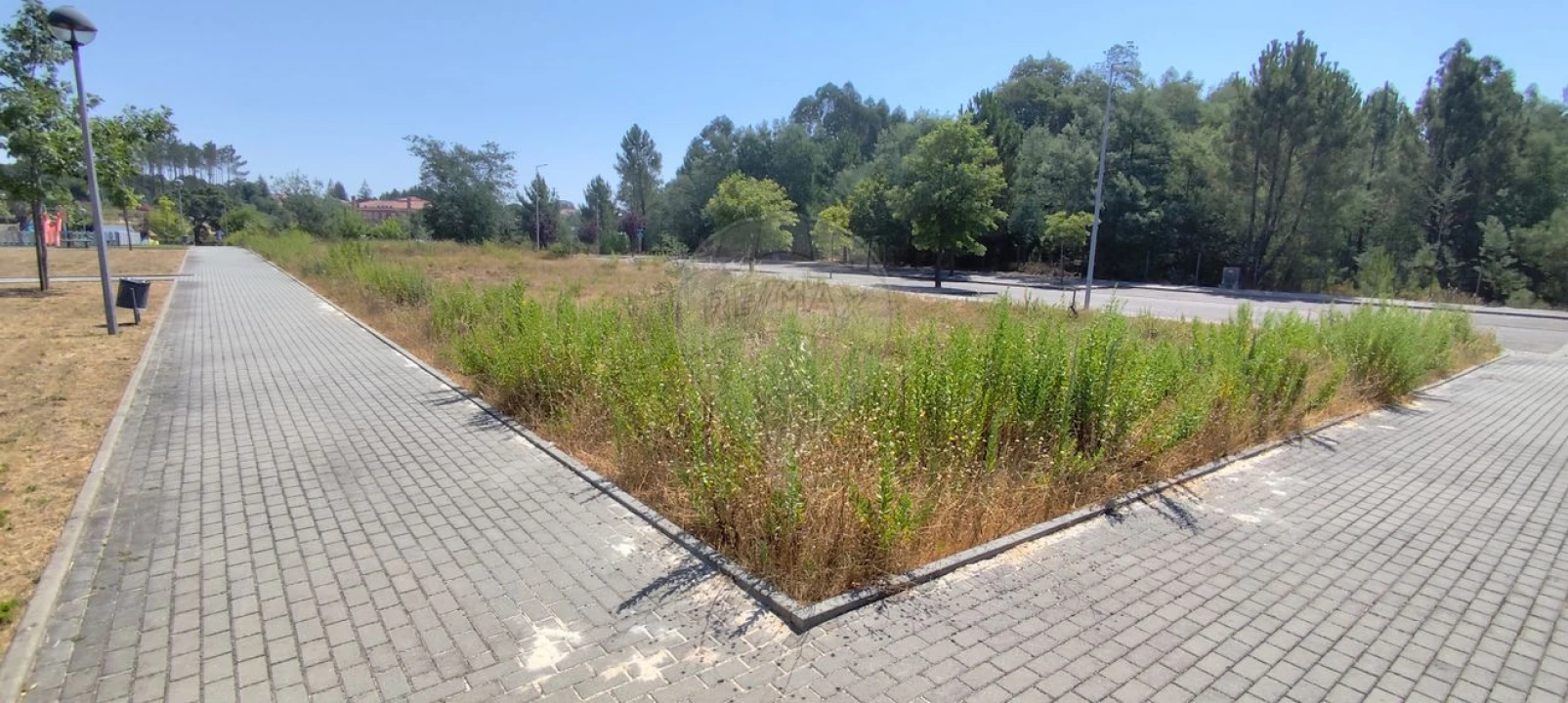 Terreno para Venda em Ferreira do Zezere Foto 13